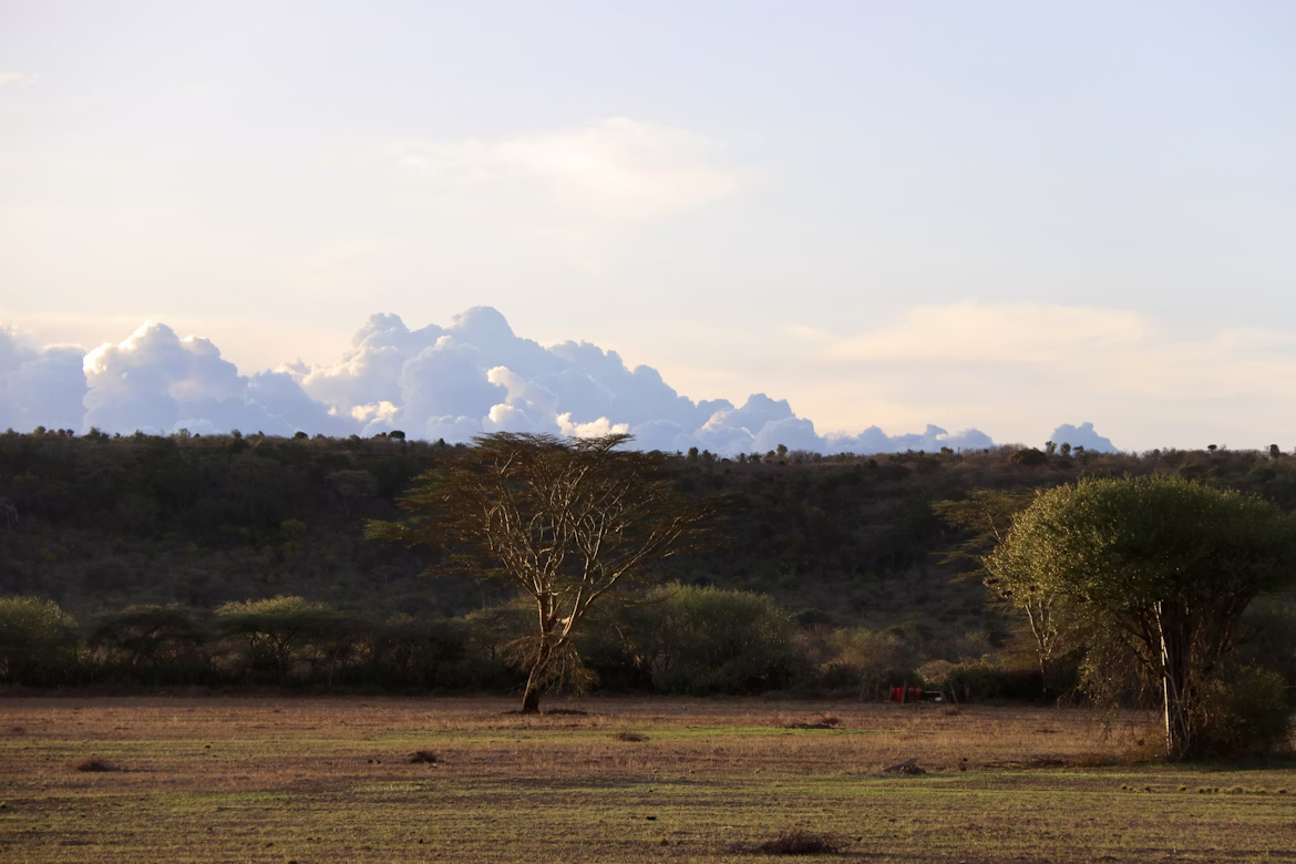 5 Days Mt. Kenya, Ol Pejeta & Samburu frame 4